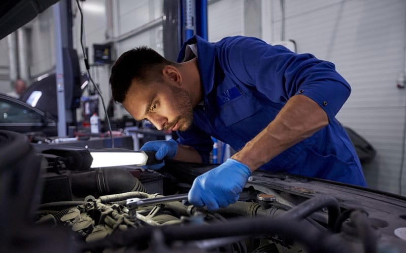 isuzu case study
